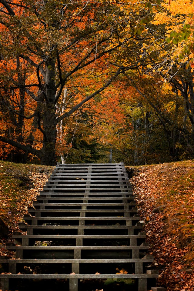 Mountain Hiking